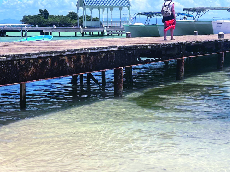 Muelle de Cayo Levantado está en condiciones críticas