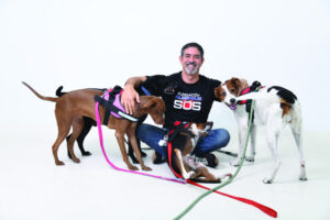 Albergue SOS: Una nueva oportunidad para los perros de la calle